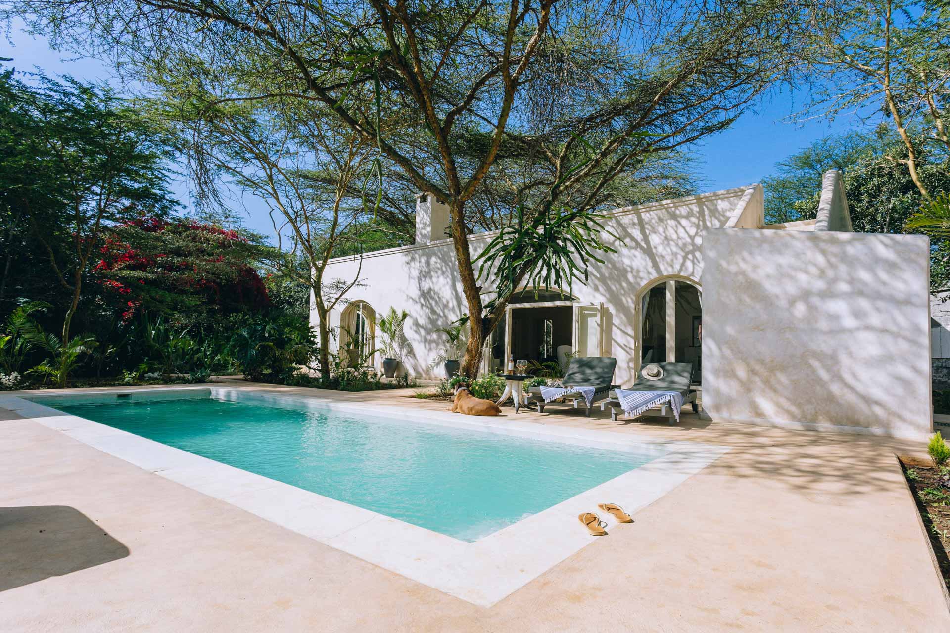 Manzili House Kenya, Swimming Pool